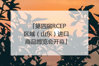 第四届RCEP区域（山东）进口商品博览会开幕