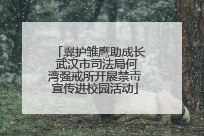 翼护雏鹰助成长 武汉市司法局何湾强戒所开展禁毒宣传进校园活动
