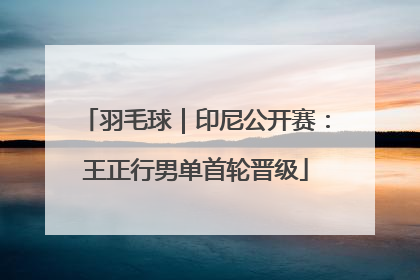 羽毛球｜印尼公开赛：王正行男单首轮晋级