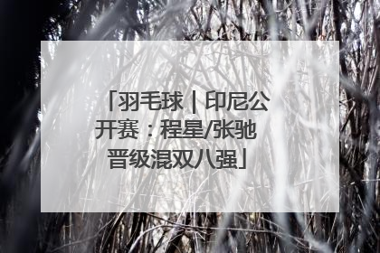 羽毛球｜印尼公开赛：程星/张驰晋级混双八强