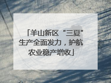 羊山新区“三夏”生产全面发力，护航农业稳产增收