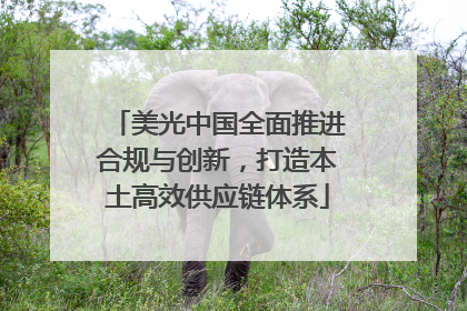 美光中国全面推进合规与创新，打造本土高效供应链体系