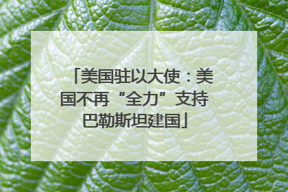 美国驻以大使：美国不再“全力”支持巴勒斯坦建国