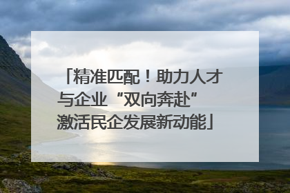 精准匹配！助力人才与企业“双向奔赴” 激活民企发展新动能