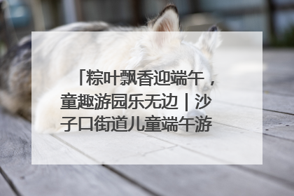 粽叶飘香迎端午，童趣游园乐无边｜沙子口街道儿童端午游园活动圆满落幕