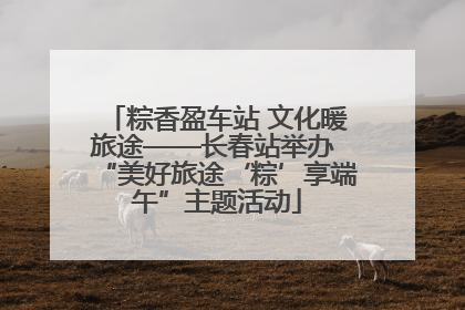 粽香盈车站 文化暖旅途——长春站举办 “美好旅途‘粽’享端午”主题活动