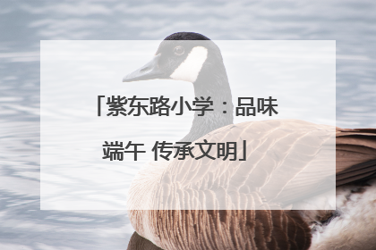 紫东路小学：品味端午 传承文明
