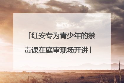 红安专为青少年的禁毒课在庭审现场开讲