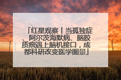 红星观察丨当孤独症、阿尔茨海默病、脑胶质瘤遇上脑机接口，成都科研改变医学图景