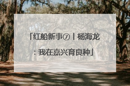 红船新事⑦丨杨海龙：我在嘉兴育良种