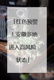 红色预警！安徽多地进入高风险状态