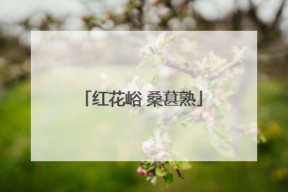红花峪 桑葚熟