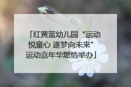 红黄蓝幼儿园“运动悦童心 逐梦向未来”运动嘉年华燃情举办