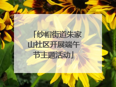 纱帽街道朱家山社区开展端午节主题活动