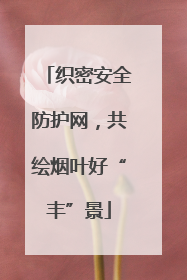 织密安全防护网，共绘烟叶好“丰”景