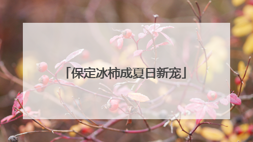 保定冰柿成夏日新宠