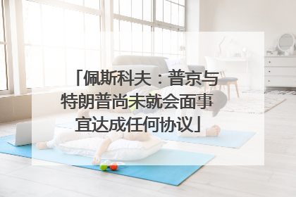 佩斯科夫：普京与特朗普尚未就会面事宜达成任何协议