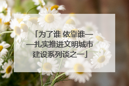 为了谁 依靠谁——扎实推进文明城市建设系列谈之一