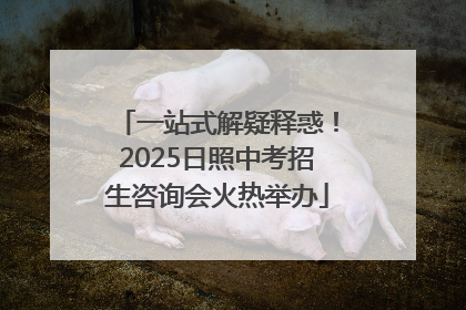 一站式解疑释惑！2025日照中考招生咨询会火热举办