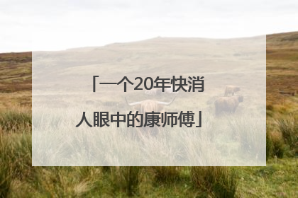 一个20年快消人眼中的康师傅