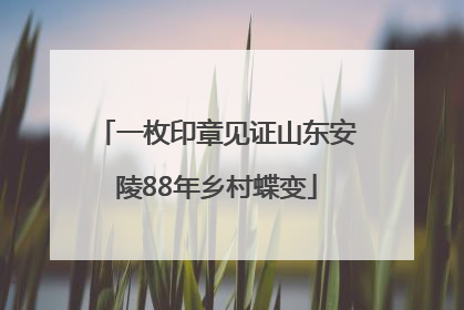 一枚印章见证山东安陵88年乡村蝶变
