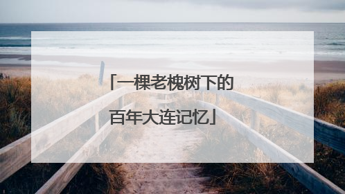 一棵老槐树下的百年大连记忆