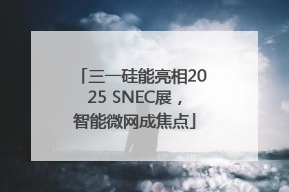 三一硅能亮相2025 SNEC展，智能微网成焦点