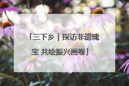 三下乡｜探访非遗瑰宝 共绘振兴画卷
