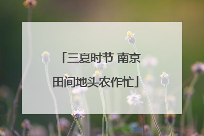 三夏时节 南京田间地头农作忙
