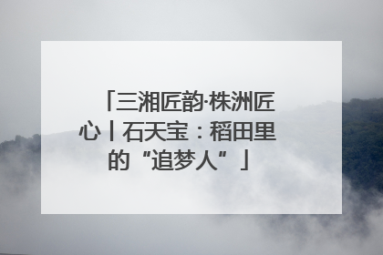 三湘匠韵·株洲匠心丨石天宝：稻田里的“追梦人”
