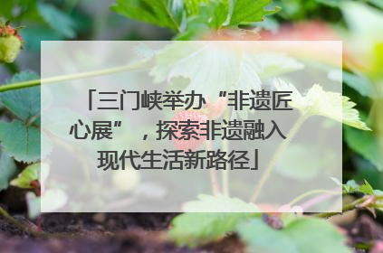 三门峡举办“非遗匠心展”，探索非遗融入现代生活新路径