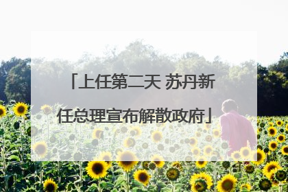 上任第二天 苏丹新任总理宣布解散政府