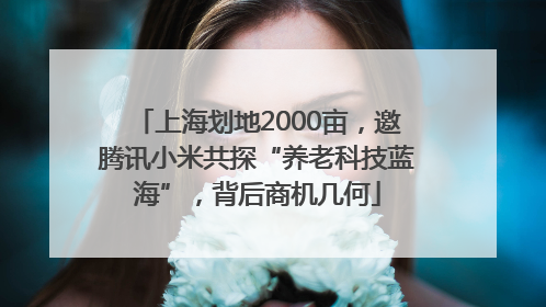 上海划地2000亩，邀腾讯小米共探“养老科技蓝海”，背后商机几何