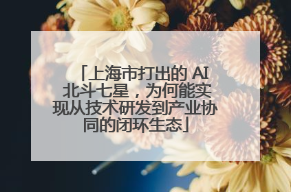 上海市打出的 AI 北斗七星，为何能实现从技术研发到产业协同的闭环生态