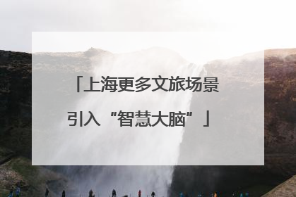 上海更多文旅场景引入“智慧大脑”