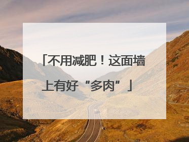 不用减肥！这面墙上有好“多肉”