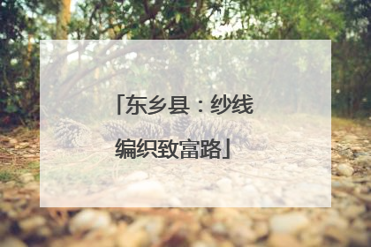 东乡县：纱线编织致富路