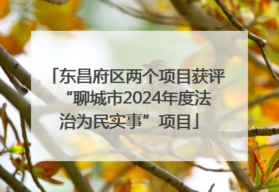 东昌府区两个项目获评“聊城市2024年度法治为民实事”项目