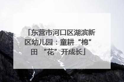 东营市河口区湖滨新区幼儿园：童耕“棉”田 “花”开成长