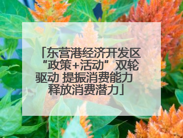 东营港经济开发区“政策+活动”双轮驱动 提振消费能力 释放消费潜力