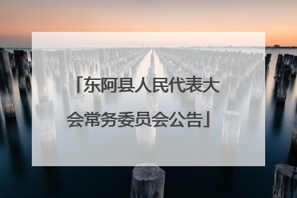 东阿县人民代表大会常务委员会公告
