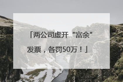 两公司虚开“富余”发票，各罚50万！