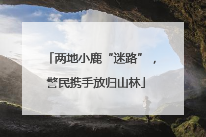 两地小鹿“迷路”，警民携手放归山林