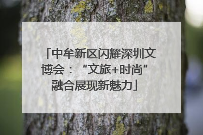 中牟新区闪耀深圳文博会：“文旅+时尚”融合展现新魅力
