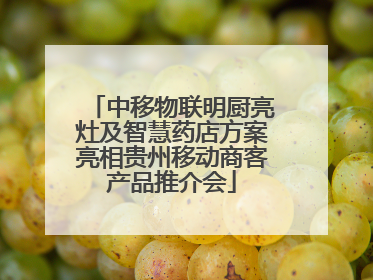 中移物联明厨亮灶及智慧药店方案亮相贵州移动商客产品推介会