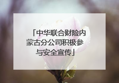 中华联合财险内蒙古分公司积极参与安全宣传