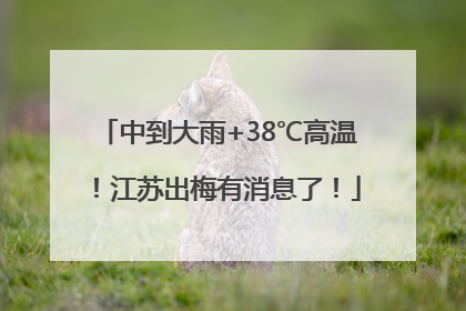 中到大雨+38℃高温！江苏出梅有消息了！