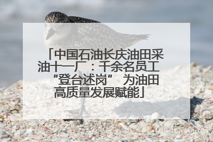中国石油长庆油田采油十一厂：千余名员工“登台述岗” 为油田高质量发展赋能