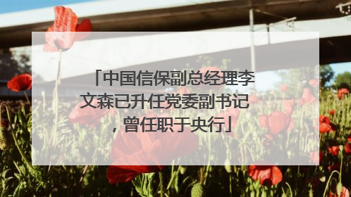 中国信保副总经理李文森已升任党委副书记，曾任职于央行