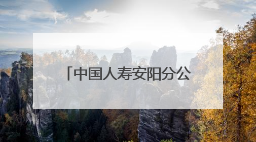 中国人寿安阳分公司：贴心服务送上门 金融温度暖人心